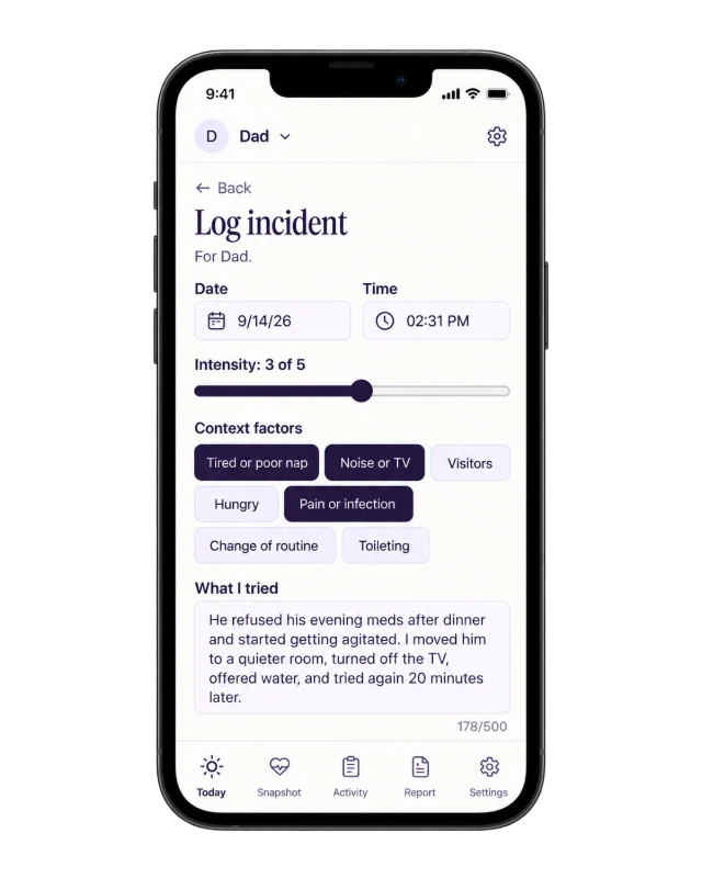 Actual incident recording screen, sample entries